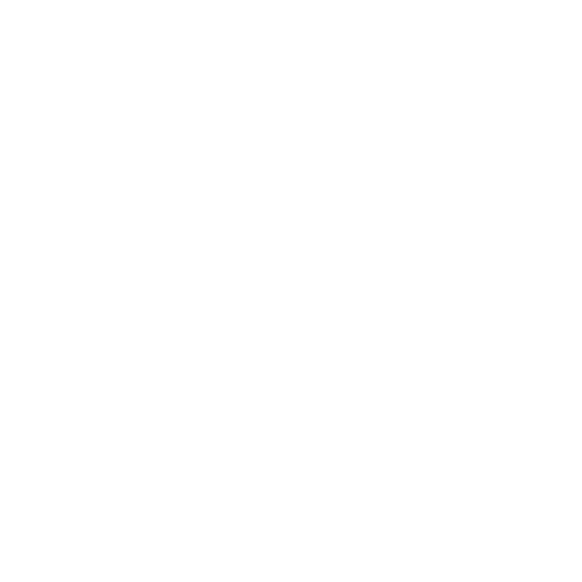 LEO-BURNET LEO-BURNET