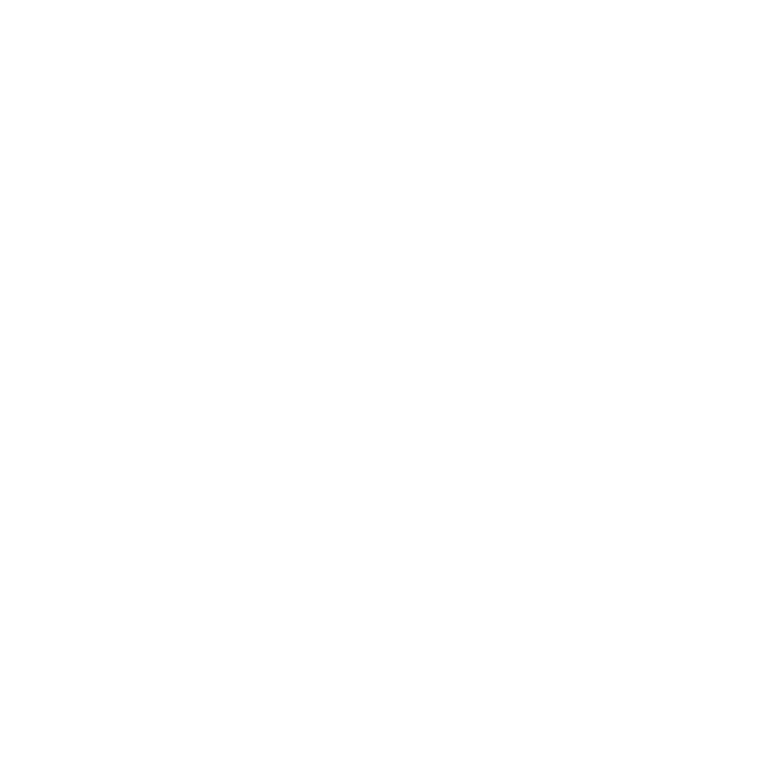 FLYING TIGER FLYING TIGER