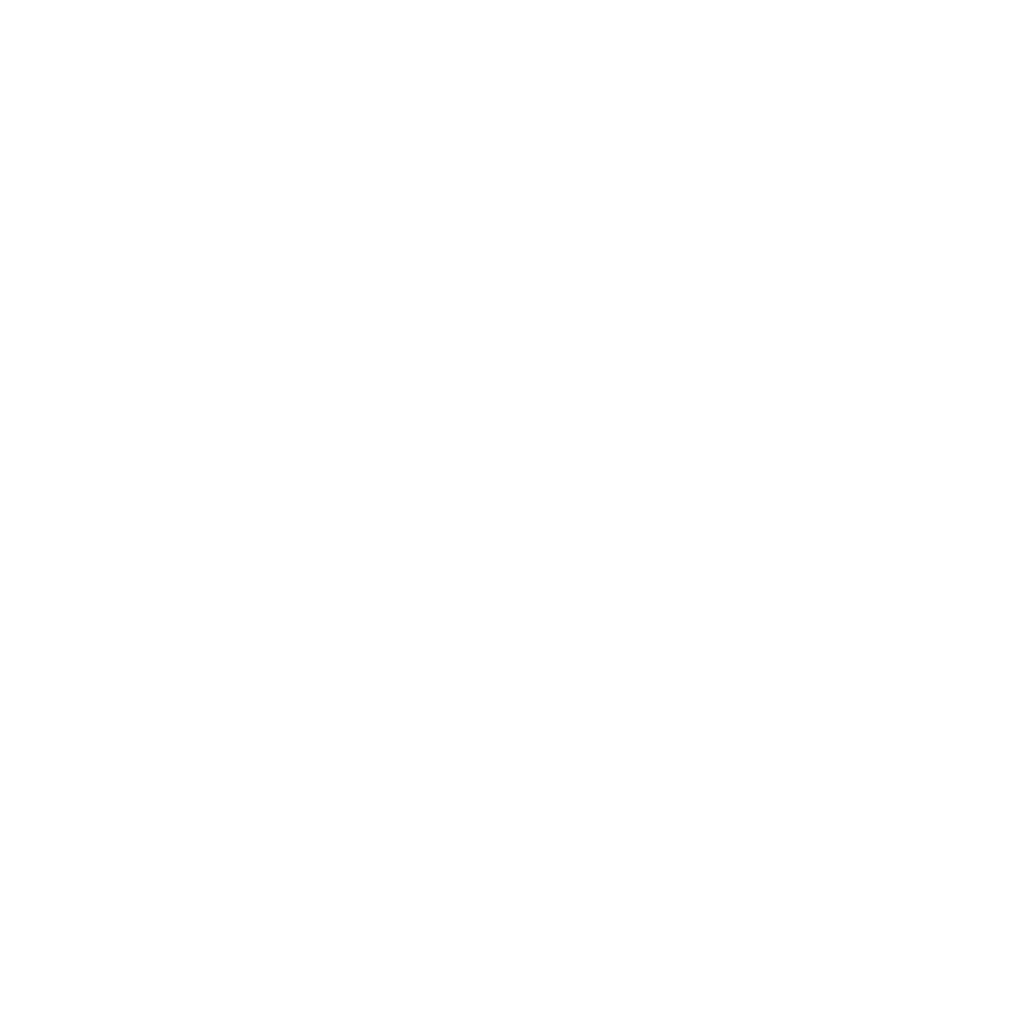 PEPSICO PEPSICO